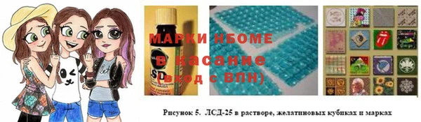 гидра Майский
