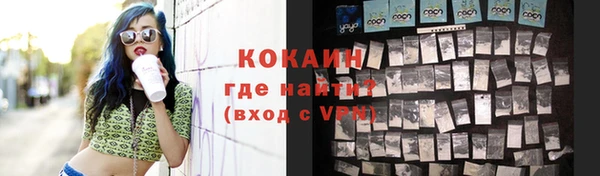 гидра Майский