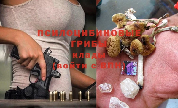 шишки Липки
