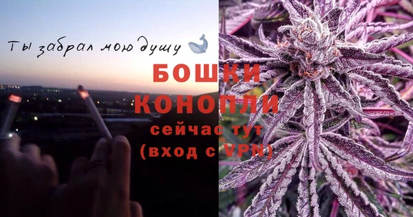 ГАЛЛЮЦИНОГЕННЫЕ ГРИБЫ Ветлуга
