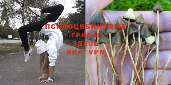 гидра Майский