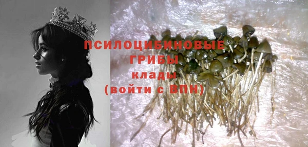 гидра Майский