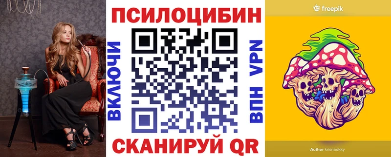 закладки  Малоярославец  Псилоцибиновые грибы прущие грибы 