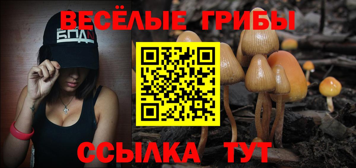 Псилоцибиновые грибы GOLDEN TEACHER  Псилоцибиновые грибы ЛСД  Малоярославец 